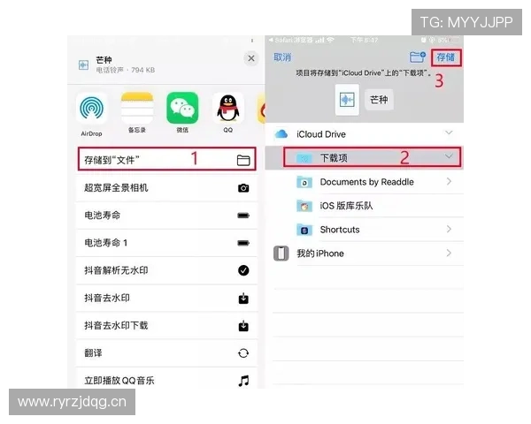 苹果手机用户如何准确找到乐鱼app下载链接以及下载安装全过程详解